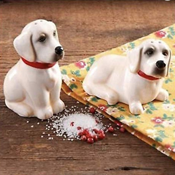 New Pioneer Woman Lucy & Duke Salt & Pepper Shakers - Picture 1 of 4